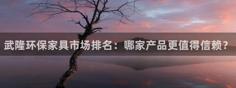 沐鸣测速注册：武隆环保家具市场排名：哪家产品更值得信赖？