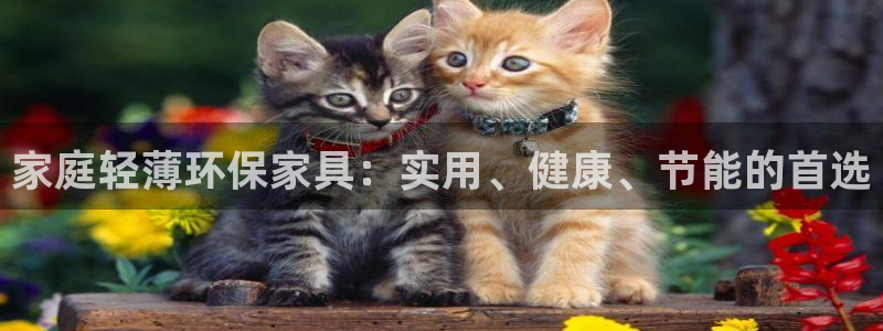 沐鸣平台登陆地址：家庭轻薄环保家具：实用、健康、节能的首选