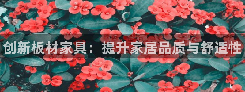 沐鸣平台开户：创新板材家具：提升家居品质与舒适性
