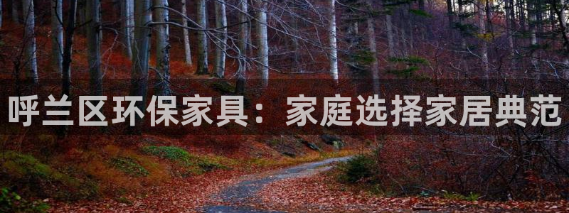 沐鸣官方测速：呼兰区环保家具：家庭选择家居典范