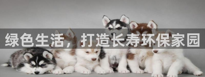 沐鸣代理连接
