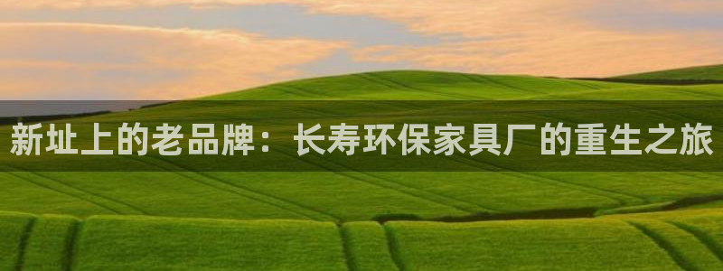沐鸣代理注册中心：新址上的老品牌：长寿环保家具厂的重生之旅
