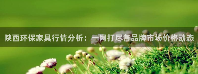 沐鸣代理连接：陕西环保家具行情分析：一网打尽各品牌市场价格动
