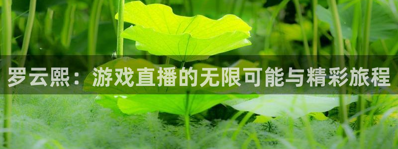 24直播网中超：罗云熙：游戏直播的无限可能与精彩旅程