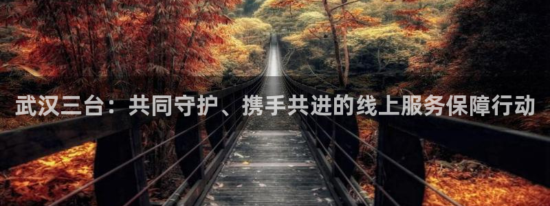 24直播网nba直播jrs：武汉三台：共同守护、携手共进的线上服务保障行动