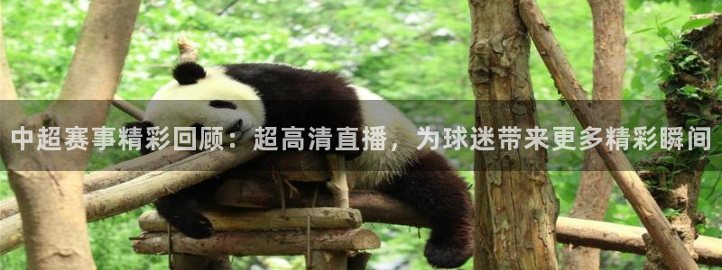 24直播网官网：中超赛事精彩回顾：超高清直播，为球迷带来更多精彩瞬间