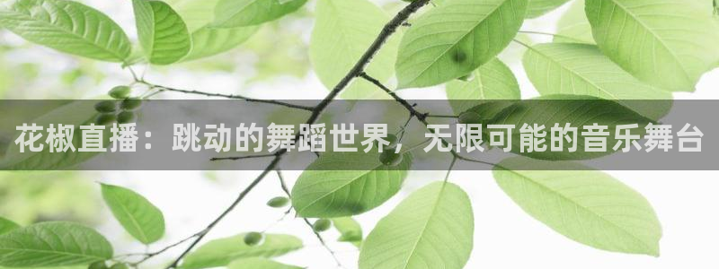 114624直播：花椒直播：跳动的舞蹈世界，无限可能的音乐舞台