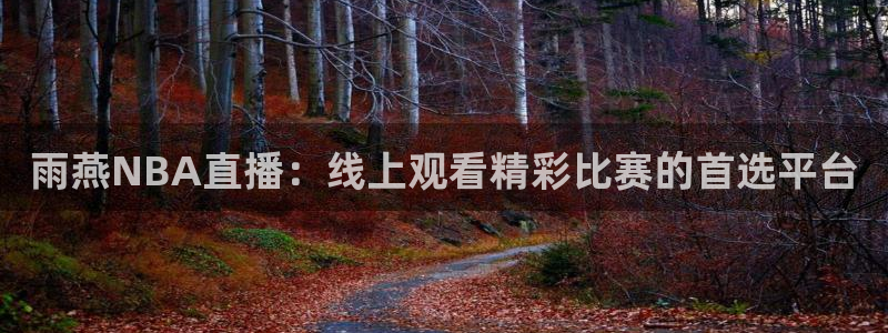 下载24直播网：雨燕NBA直播：线上观看精彩比赛的首选平台