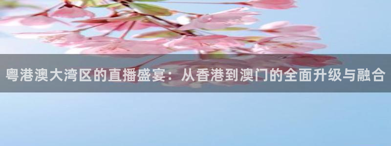 24直播篮球网：粤港澳大湾区的直播盛宴：从香港到澳门的全面升级与融合