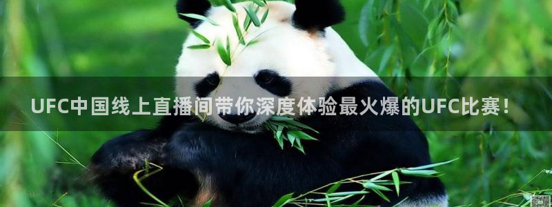24直播jrs：UFC中国线上直播间带你深度体验最火爆的UFC比赛！