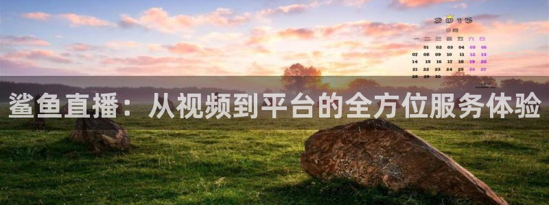 24直播网体育在线直播：鲨鱼直播：从视频到平台的全方位服务体验