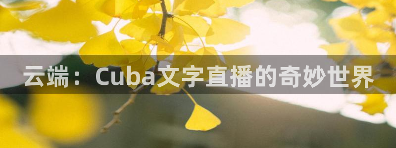 24直播：云端：Cuba文字直播的奇妙世界