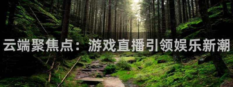 24直播网站：云端聚焦点：游戏直播引领娱乐新潮