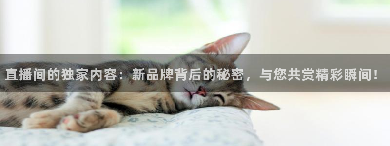 24直播免费篮球直播：直播间的独家内容：新品牌背后的秘密，与您共赏精彩瞬间！