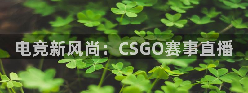 24直播看球网：电竞新风尚：CSGO赛事直播