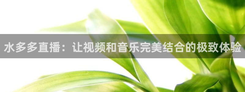 24直播网nba直播jrs：水多多直播：让视频和音乐完美结合的极致体验