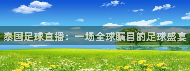 24直播网nba在线直播免费观看：泰国足球直播：一场全球瞩目的足球盛宴